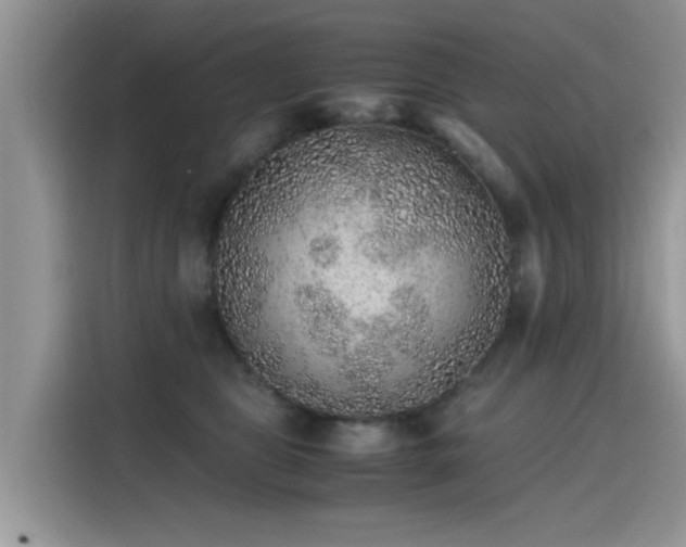 X0000115440469200911121127