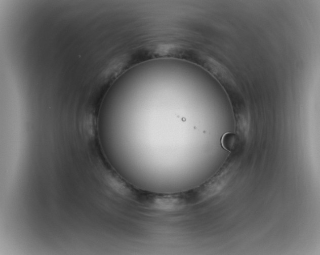 X0000115440470200911121127
