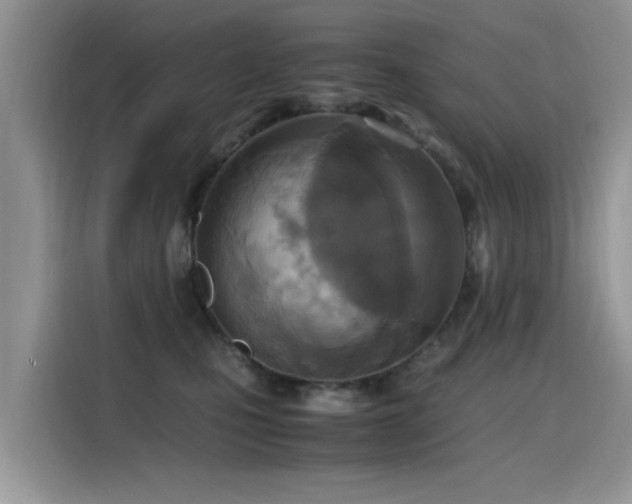 X0000115440471200911121127