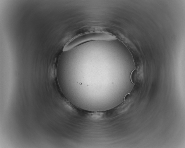X0000115440474200911121127
