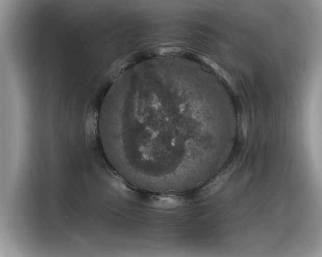 X0000115440475200911121127