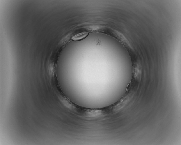 X0000115440476200911121127