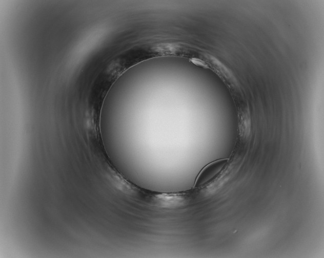 X0000115440477200911121127