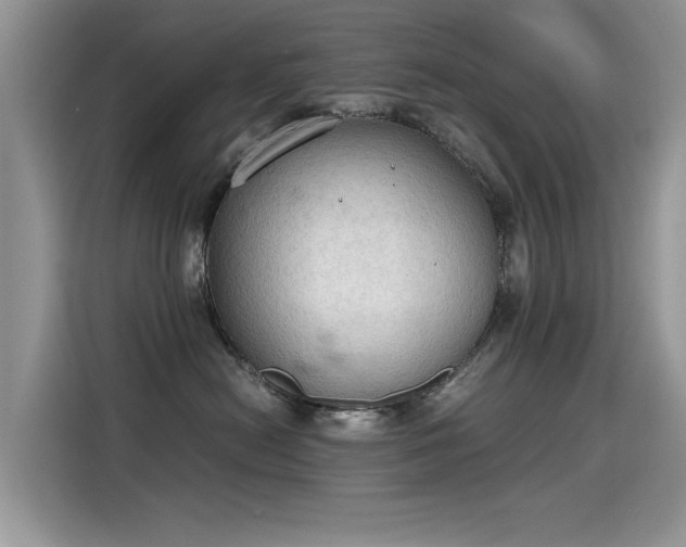 X0000115440478200911121127