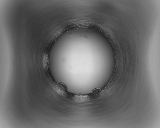 X0000115440480200911121127
