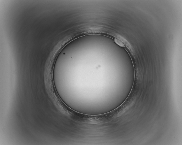 X0000115440481200911121126