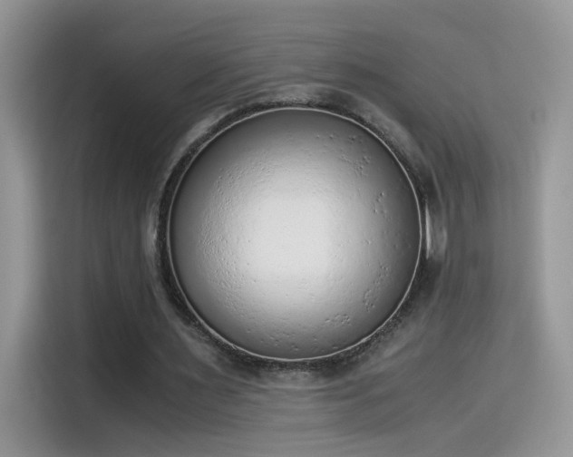 X0000115440483200911121126