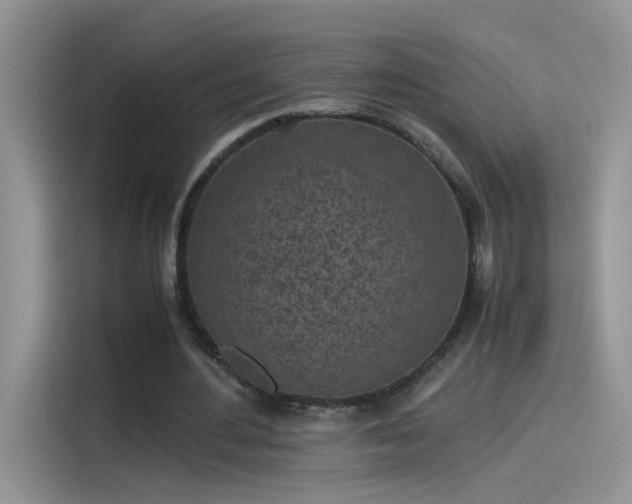 X0000115440484200911121126