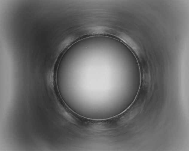 X0000115440485200911121126