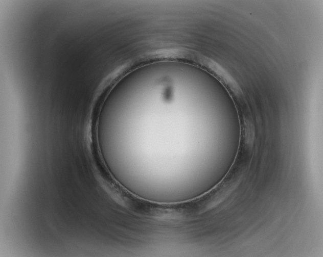 X0000115440486200911121126