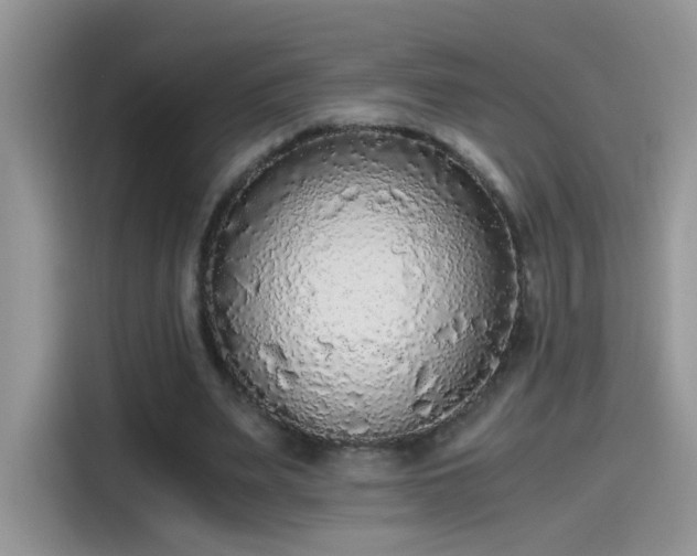 X0000115440487200911121126