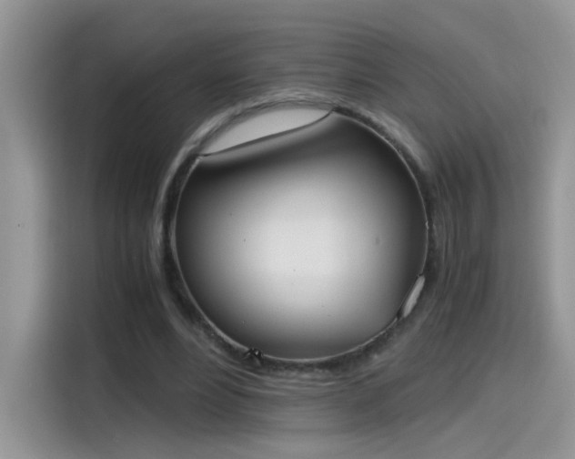 X0000115440488200911121126