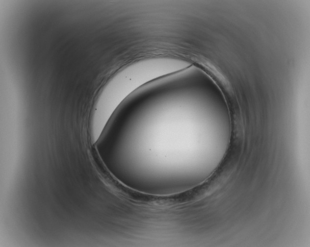 X0000115440489200911121126