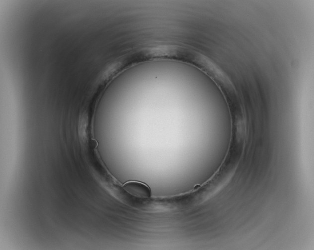 X0000115440490200911121126