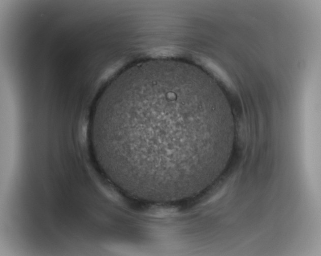 X0000115440491200911121126