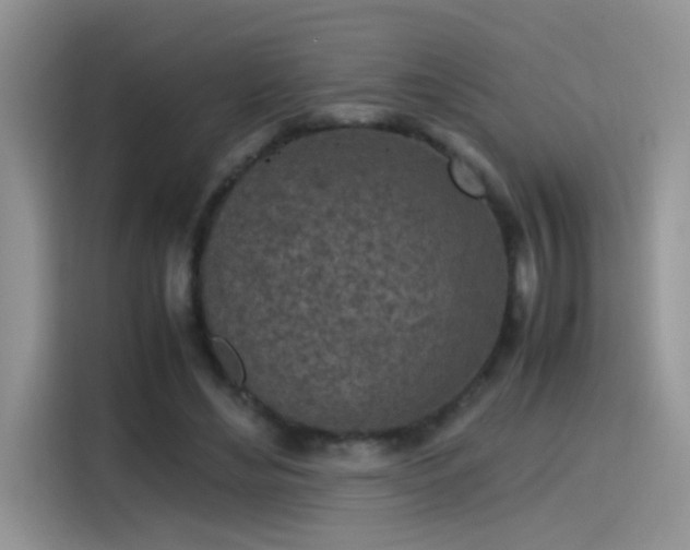 X0000115440492200911121126