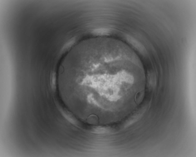 X0000115440494200911121126