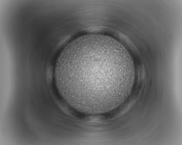 X0000115440495200911121126