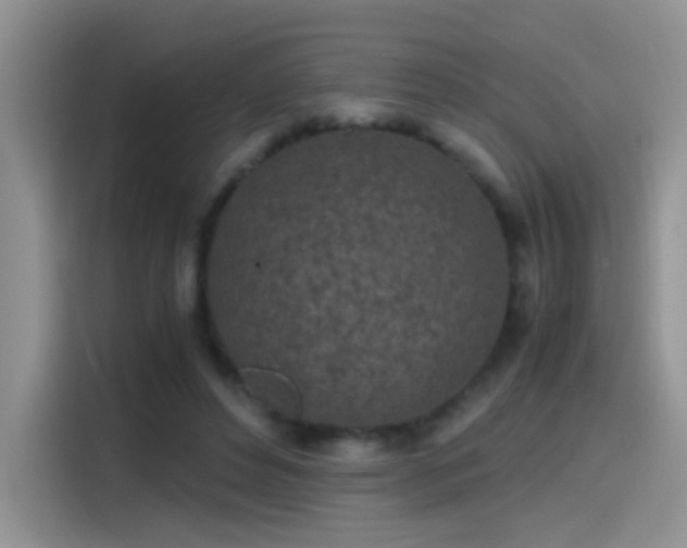 X0000115440496200911121126