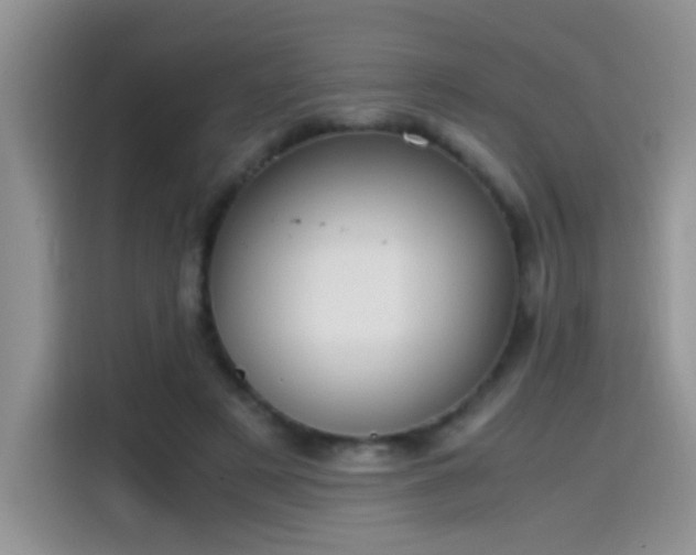 X0000115440497200911121126