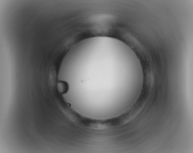 X0000115440498200911121126
