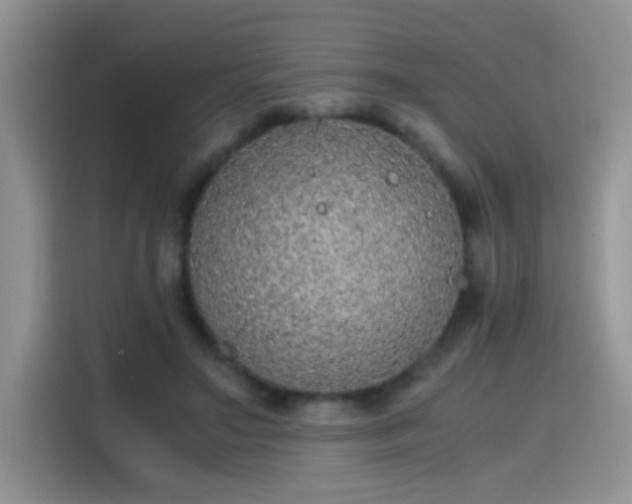 X0000115440499200911121126