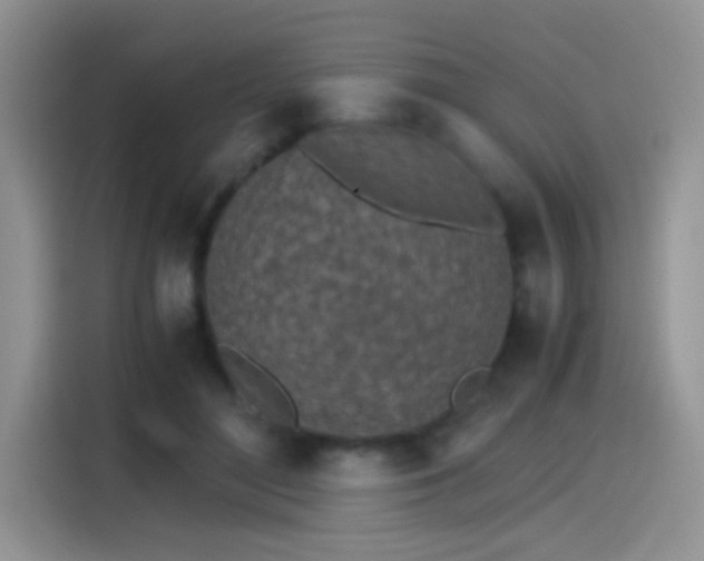 X0000115440500200911121126