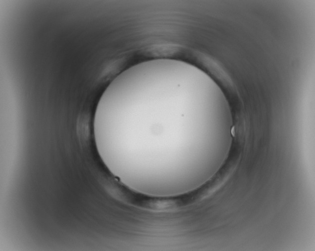 X0000115440501200911121126