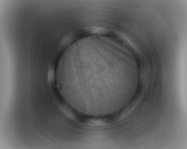 X0000115440502200911121126