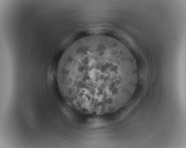 X0000115440503200911121126