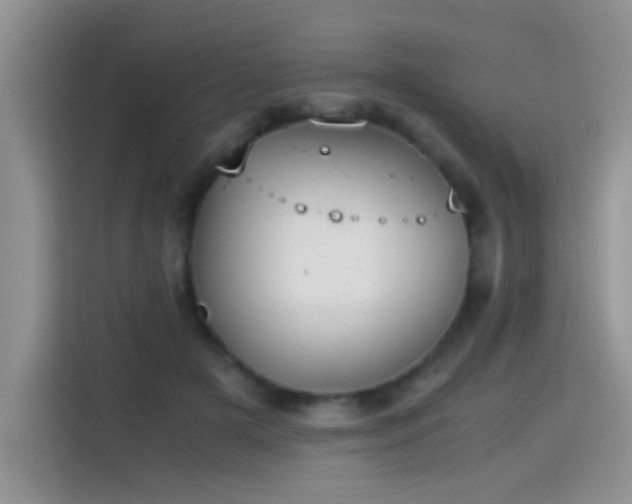 X0000115440505200911121126