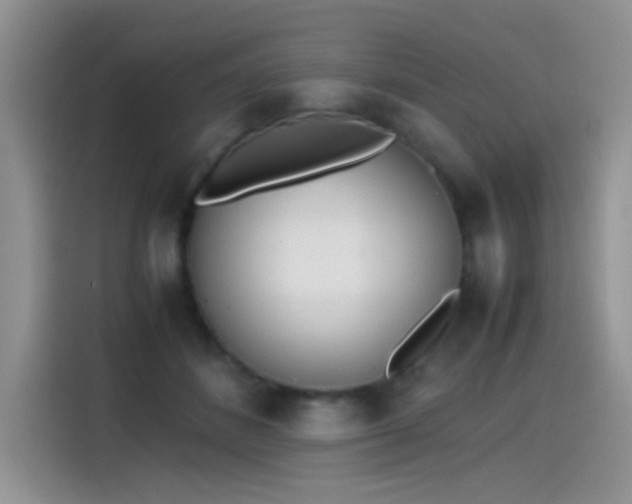 X0000115440508200911121126