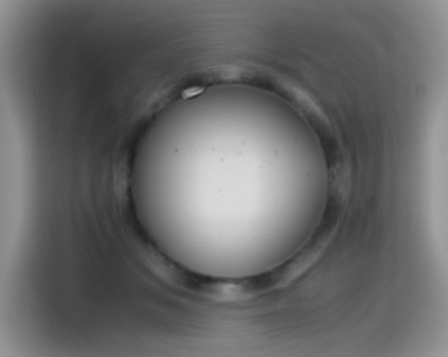 X0000115440509200911121126