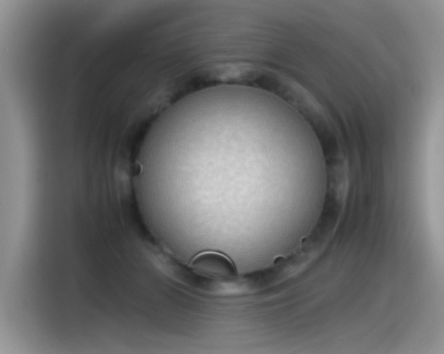 X0000115440510200911121126