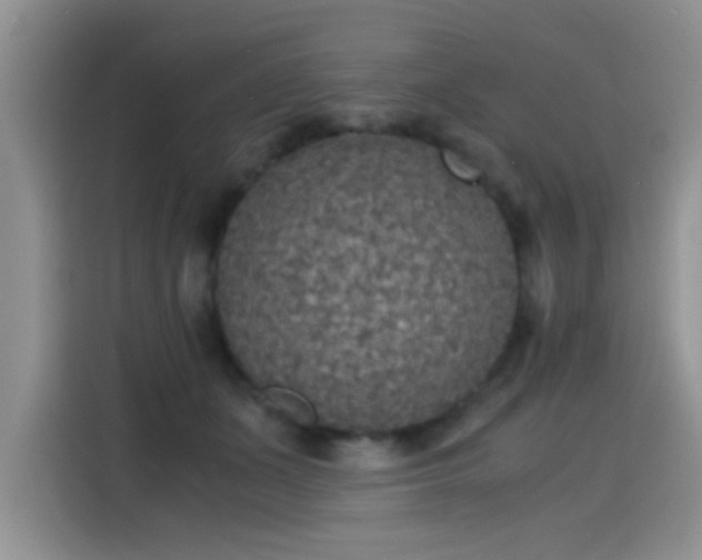X0000115440511200911121126