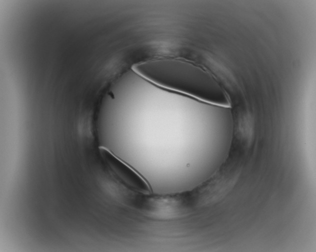 X0000115440512200911121126