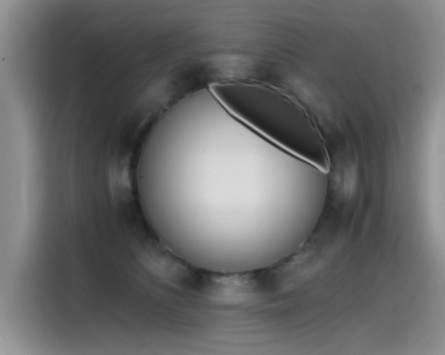 X0000115440516200911121126