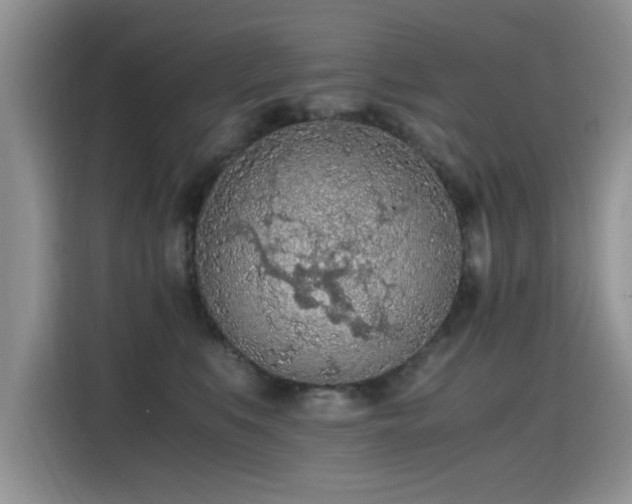 X0000115440519200911121126