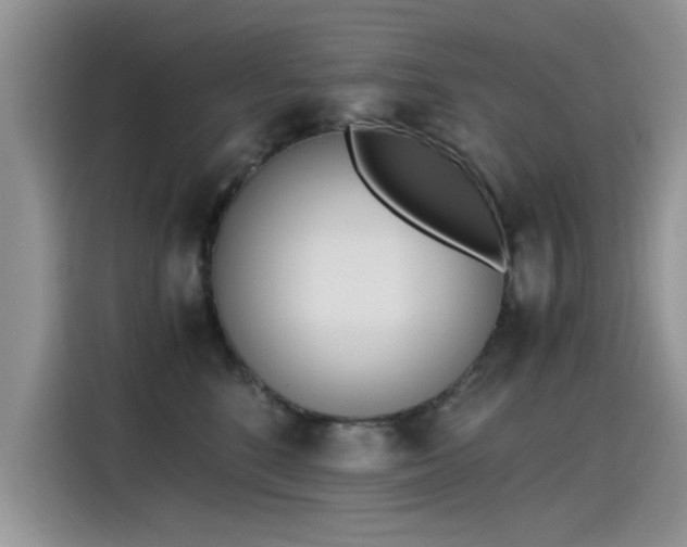 X0000115440520200911121126