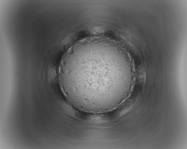 X0000115440523200911121126