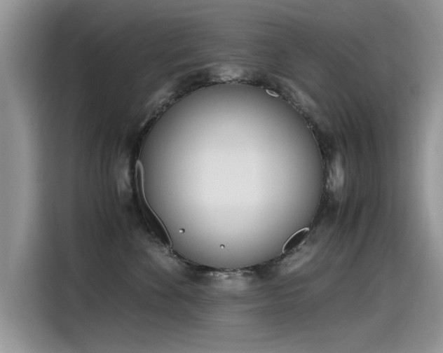 X0000115440524200911121126