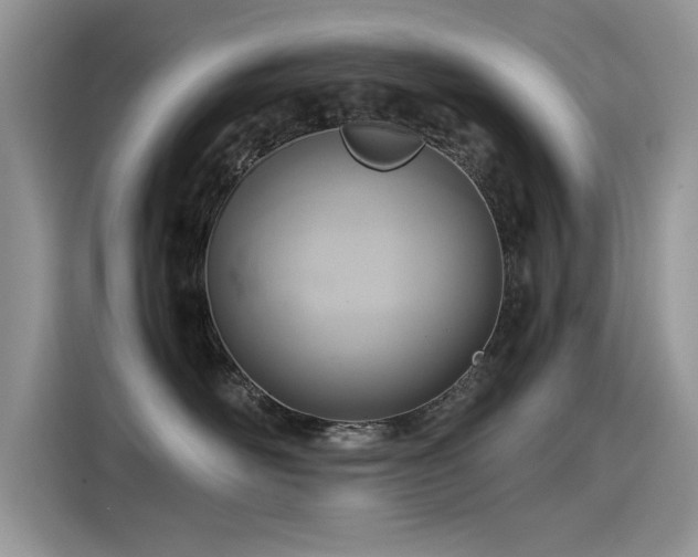 X0000115440526200911121126