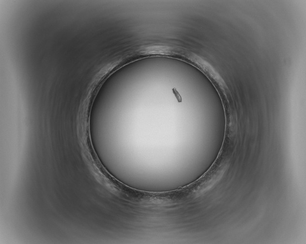 X0000115440529200911121125