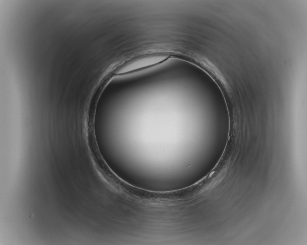 X0000115440530200911121125
