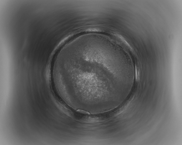 X0000115440531200911121125