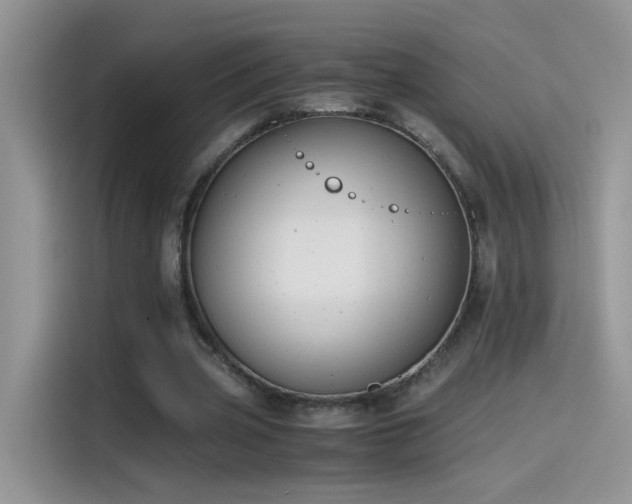 X0000115440533200911121125