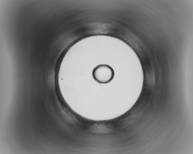 X0000115440534200911121125