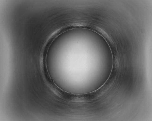 X0000115440535200911121125