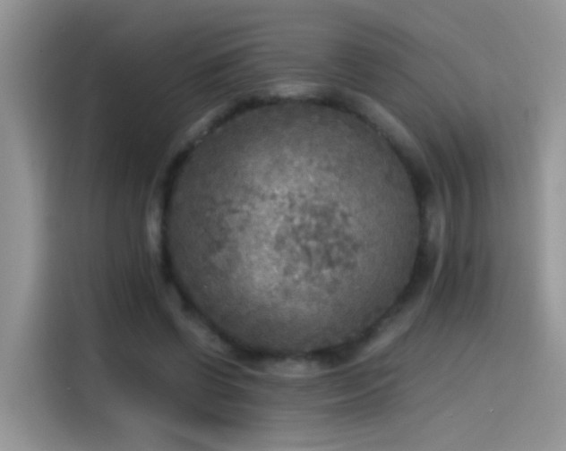 X0000115440542200911121125