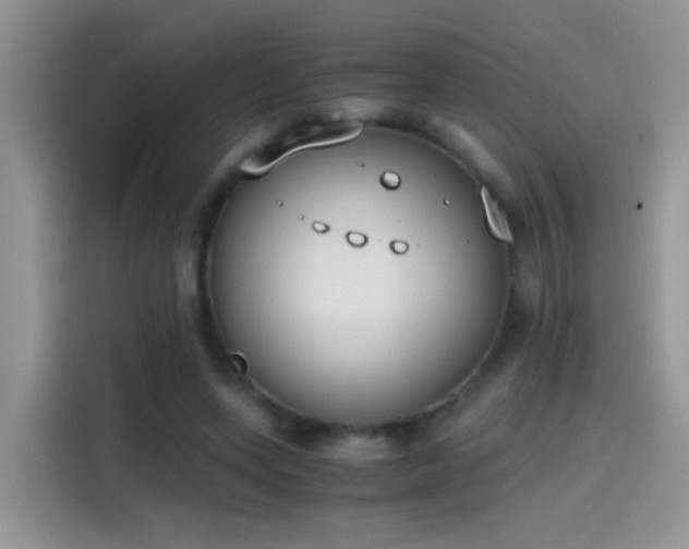 X0000115440543200911121125